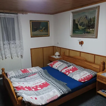 Casa de hóspedes Furovi Ostrov (Karlovy Vary)
